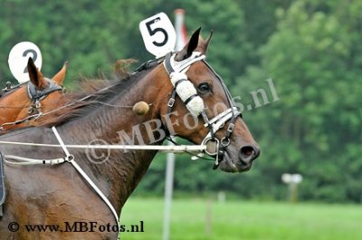 _MBF1226.jpg