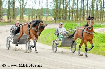 _MBF0878.jpg