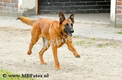 _MBF0923.jpg