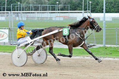 Koers 4. Diva Lady2.jpg