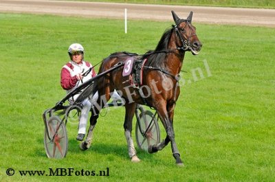 Koers 8. Traders4.jpg