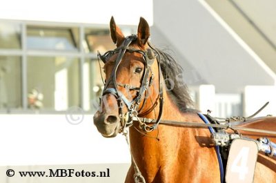 _MBF0756.jpg