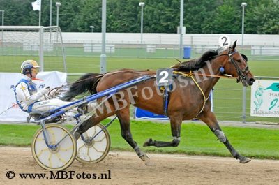 Koers 6. Cassari1.jpg