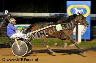 Koers 9. Bea Kievitshof1.jpg