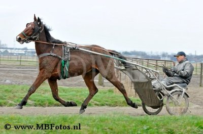 _MBF4868.jpg