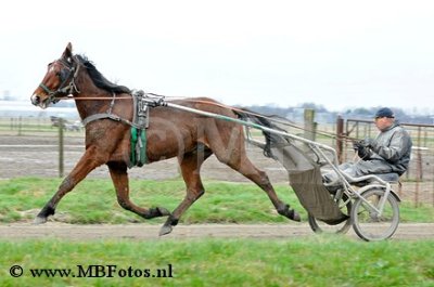 _MBF4909.jpg