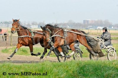 _MBF5248.jpg