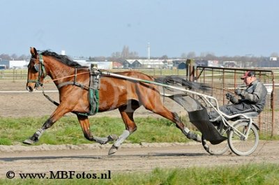 _MBF0575.jpg
