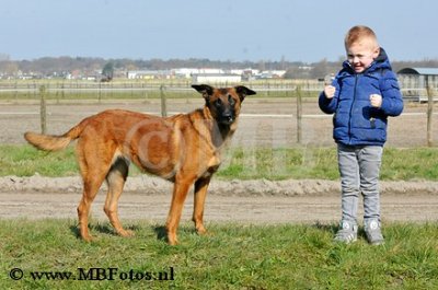 _MBF0633.jpg