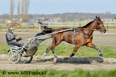 _MBF0660.jpg