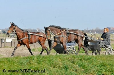 _MBF0663.jpg