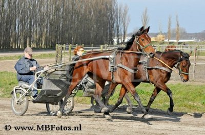 _MBF0679.jpg