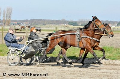_MBF0684.jpg