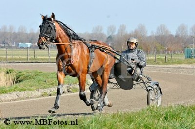 _MBF0715.jpg