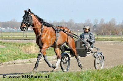 _MBF0717.jpg