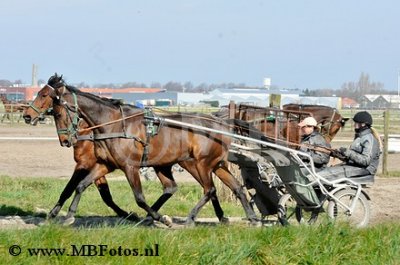 _MBF0730.jpg