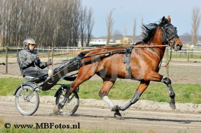 _MBF0748.jpg