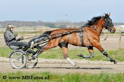 _MBF0752.jpg