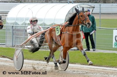 _MBF1600.jpg