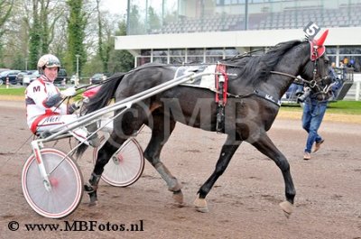 Koers 1. Fast Track.jpg