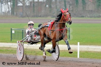 Koers 2. Golden Avenue1.jpg