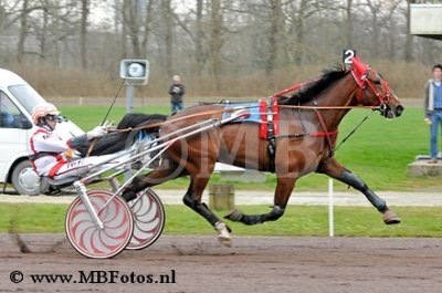 Koers 2. Golden Avenue2.jpg