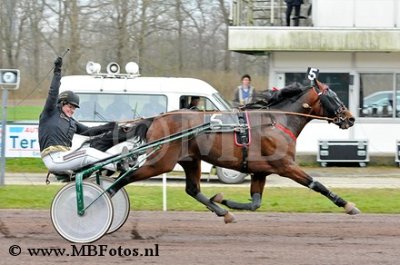 Koers 3. Fernando Meadow1.jpg