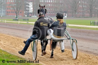 Koers 3. Fernando Meadow4.jpg