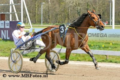 Koers 6. Eye of the tiger1.jpg
