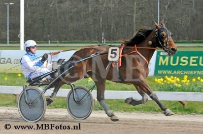 Koers 7. Cha Cha Cha1.jpg