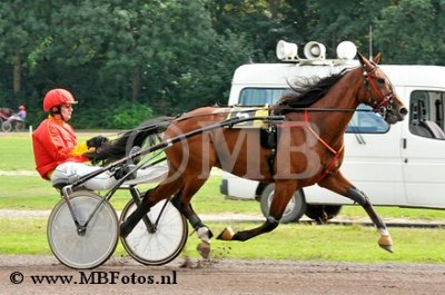 Gelegenheidskoers