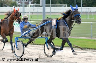 Koers 7. Continental Lane.jpg