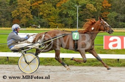 Koers 4. Emotion2.jpg