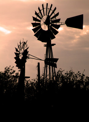 West Texas State of Mind