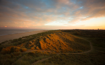 Winterton