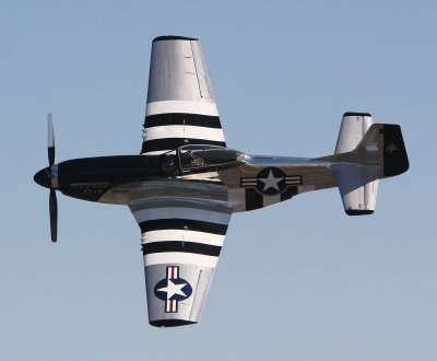 P51.jpg