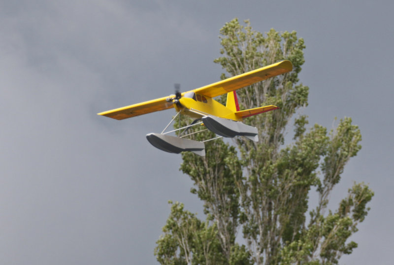 Bills floatplane and *that* Poplar, 0T8A6822.jpg