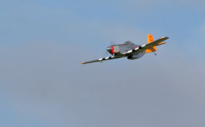 Andy's P51, IMG_0319