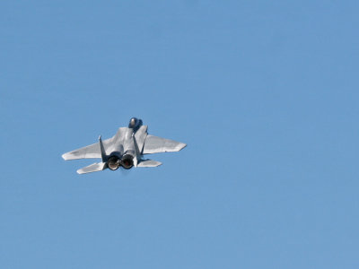 Allen's F15 eagle IMG_0593