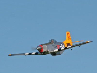 Andy's P51 IMG_0640