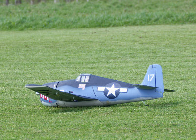 Rob's F6F Hellcat makes a forced belly landing, IMG_1363