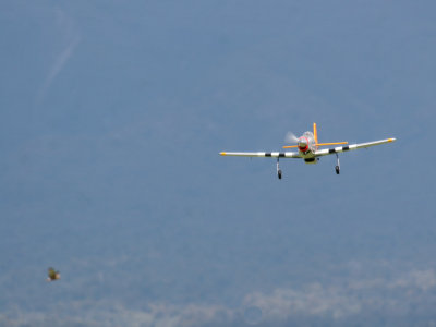 Andy has to watch out for birdstrike on final approach with his P51 IMG_1416