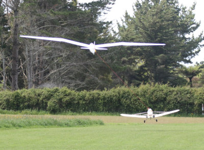 Bill's Pawnee  glider, 0T8A0795
