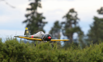 Keith's Zero over 'that' hedge 0T8A1277