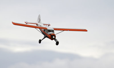 Ken's Beaver comes down to land 0T8A1342