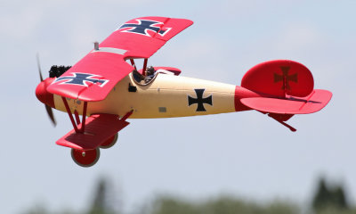 Mike's Albatros D Va, 0T8A5676