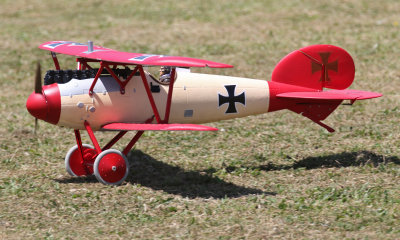 Mike's Albatros D Va does a touch & go 0T8A5688