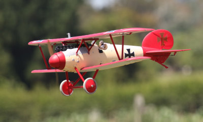 Mike's Albatros D Va comes in for a touch & go 0T8A5693