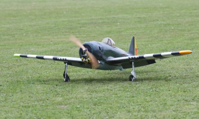 Keith's P47, 0T8A8761.jpg