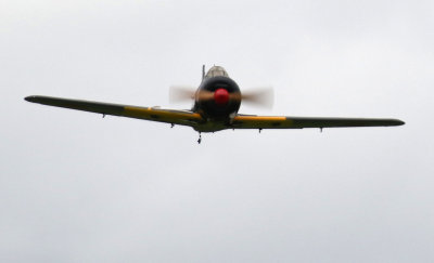 Stinky's Zero, 0T8A8967.jpg